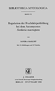 Cover image of: 