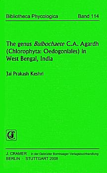 Cover image of: 