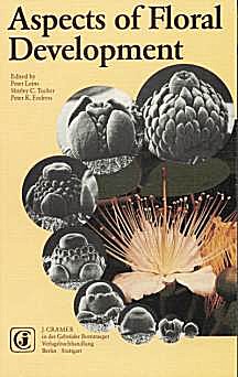 Cover image of: 