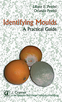 Cover image of: 