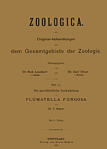 Cover image of: 