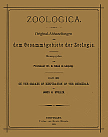 Cover image of: 