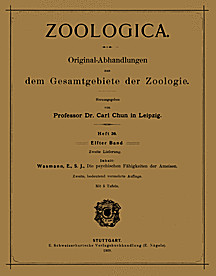 Cover image of: 