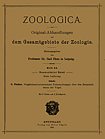 Cover image of: 