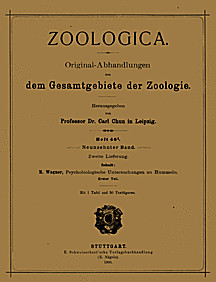 Cover image of: 
