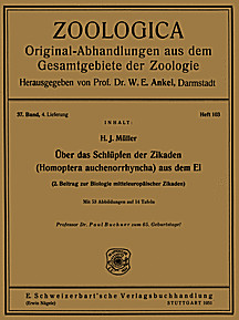 Cover image of: On the hatching of <i>Homoptera auchenorrhyncha</i> from their
eggs. 2nd contribution to the biology of central-european
cycads