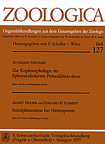 Cover image of: 