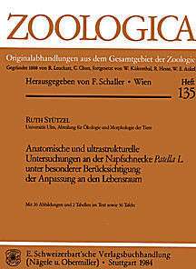 Cover image of: The anatomy and ultrastructure of the snail Patella L.
considering the adaption to the habitat