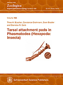 Cover image of: 