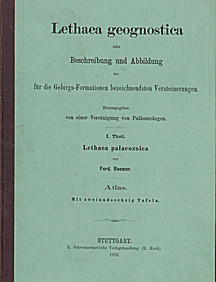 Cover image of: 