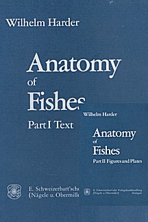 Cover image of: 