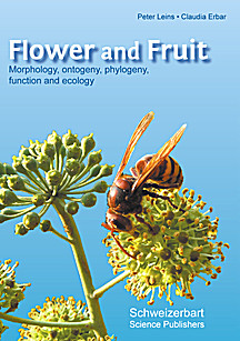 Cover image of: 