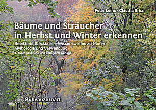 Cover image of: 