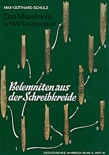 Cover image of: A study of the morphometry and statistical variation of the
belemnite Belemnella of the Lower Maastrichtian of NW-Europe
and its bearing on phylogeny