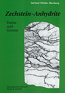 Cover image of: Zechstein-age anhydrite rocks -- their facies and genesis