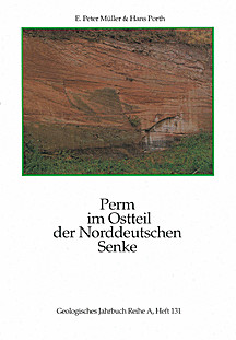 Cover image of: The geology and hydrocarbon potential of Permian rocks of
the Eastern part of the North-German Basin