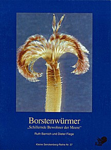 Cover image of: 
