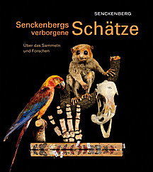 Cover image of: 