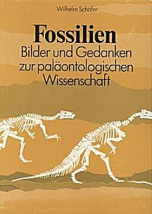 Cover image of: Fossils: Images and thoughts on the science of paleontology