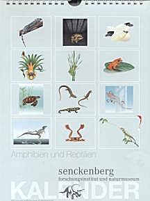 Cover image of: 