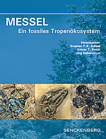 Cover image of: 