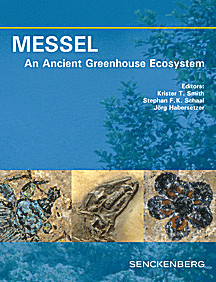 Cover image of: 