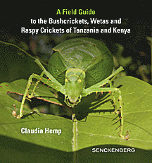 Cover image of: 