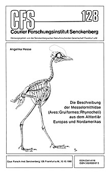 Cover image of: 