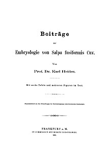 Cover image of: 