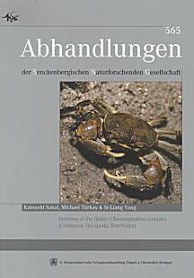 Cover image of: 