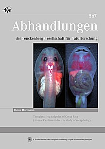 Cover image of: 