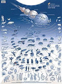 Cover image of: 