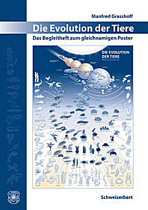 Cover image of: 