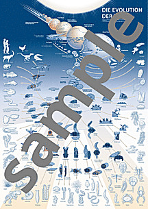 Cover image of: 