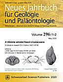 Cover image of: Neues Jahrbuch für Geologie und Paläontologie - Abhandlungen Band 296 Heft 1-2