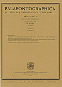 Cover image of: Palaeontographica Abteilung A Band 234 Lieferung 4-6