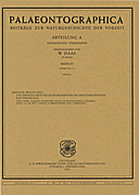 Cover image of: Palaeontographica Abteilung A Band 237 Lieferung 5-6
