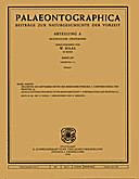 Cover image of: Palaeontographica Abteilung A Band 239 Lieferung 4-6
