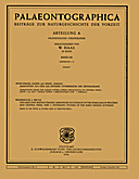 Cover image of: Palaeontographica Abteilung A Band 241 Lieferung 1-3