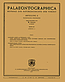 Cover image of: Palaeontographica Abteilung A Band 244 Lieferung 1-3